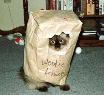 wookie-cat