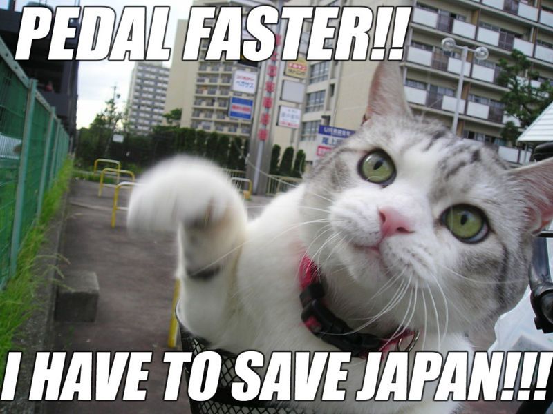 Pedal Faster, I have to Save Japan