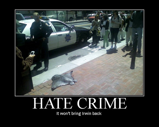 hate-crime-it-wont-bring-irwin-back
