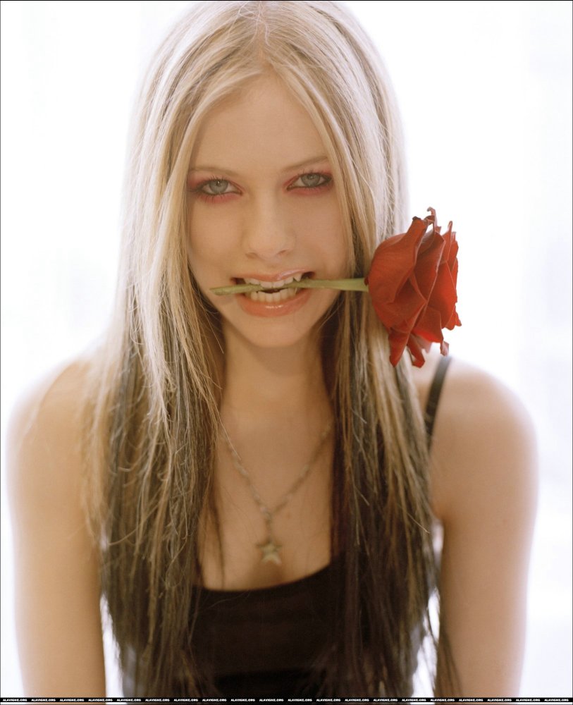 Avril Lavigne Eats A Rose