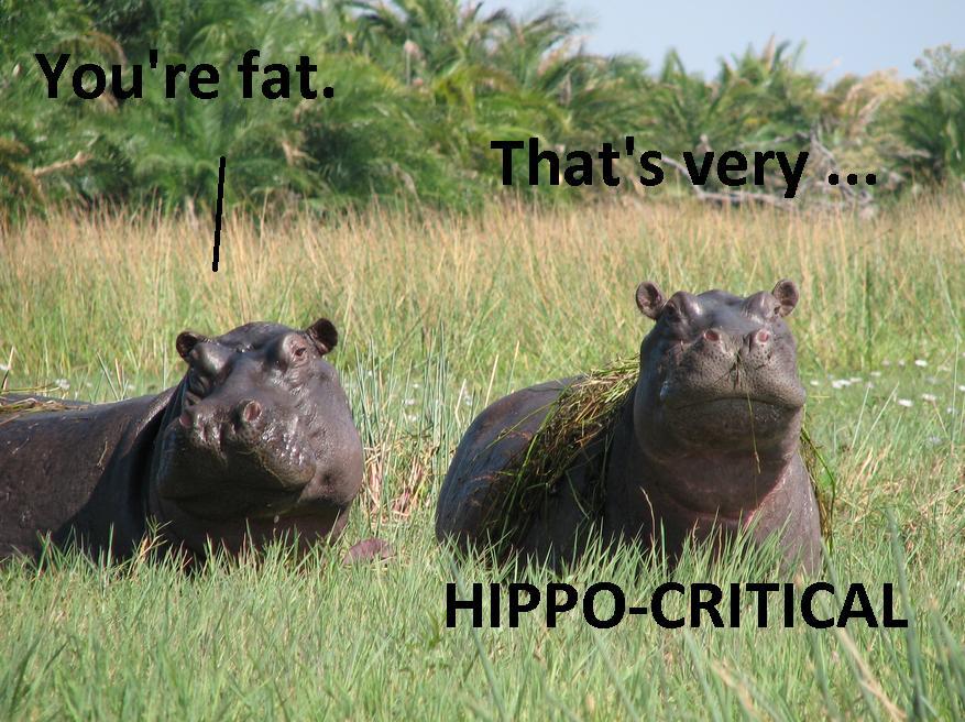 Hippo-critical.jpg