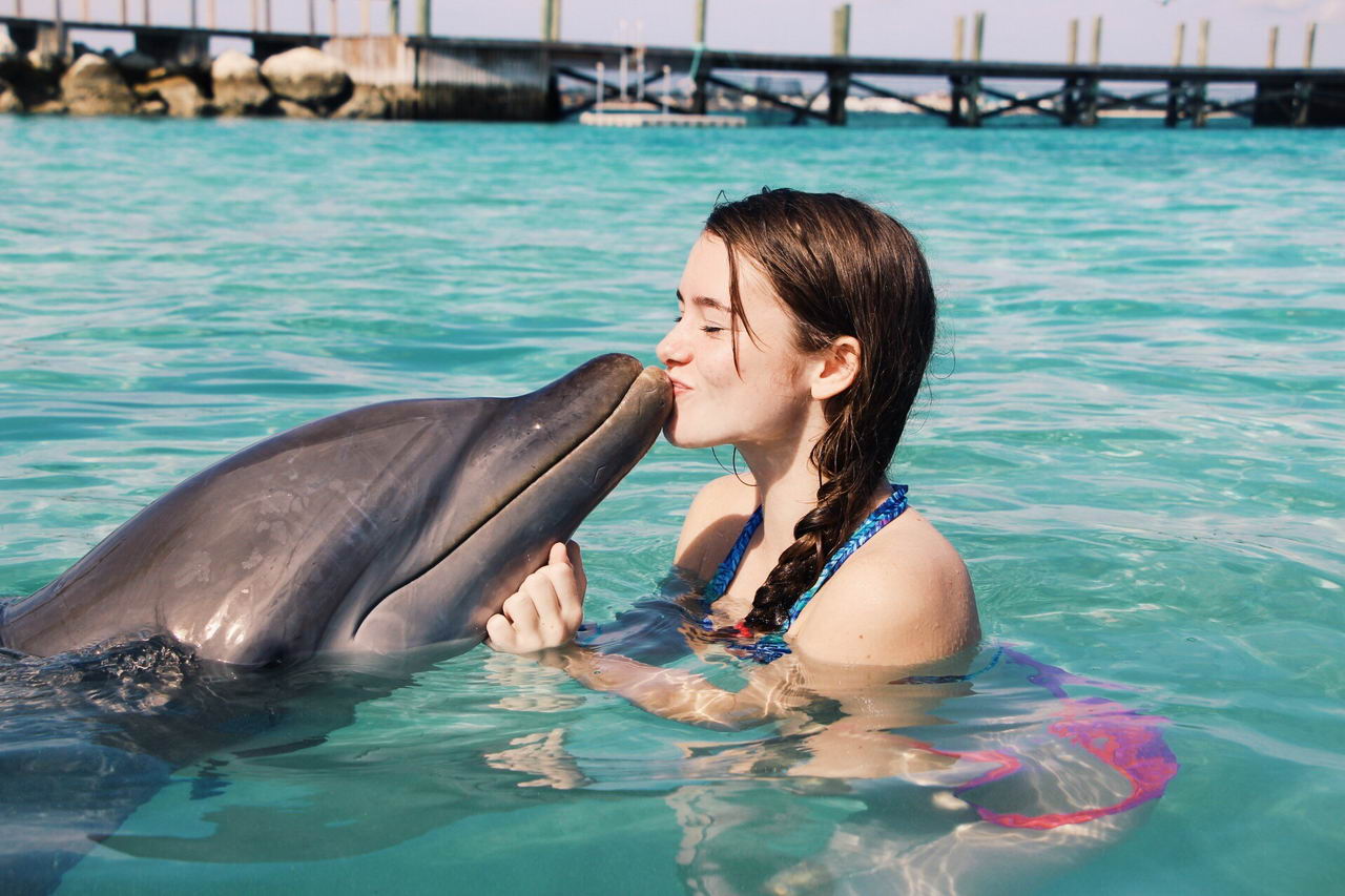 dolphin kisser