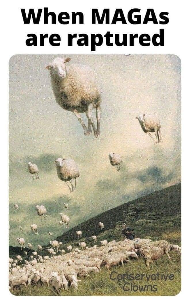 1703365268.jpg