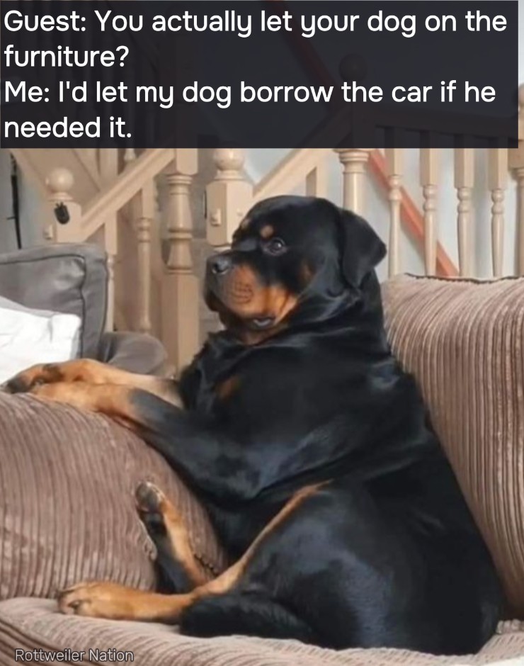 1740536594_0.jpg
