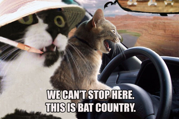 bat_country.jpg