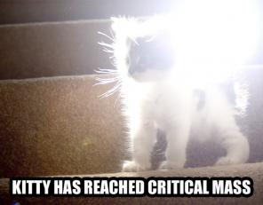 critical-mass-kitty.jpg