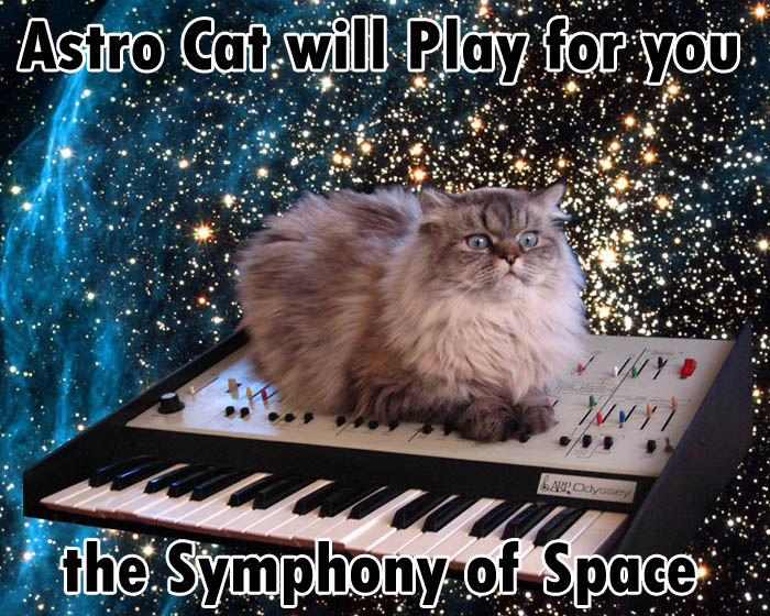 astro-cat.jpg
