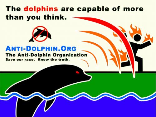 dolphin-can-do-more.jpg