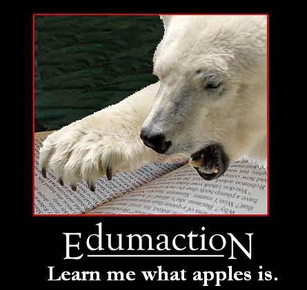 polar-bear-edumaction.jpg