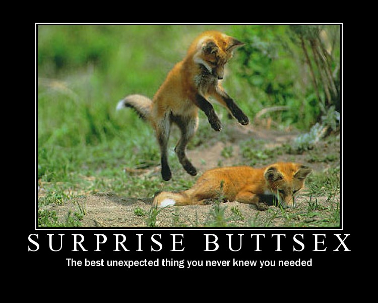 surprise-buttsex.jpg