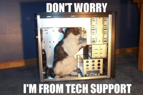 tech-support-cat1.jpg