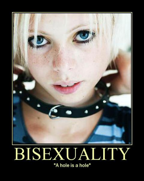 bisexuality-motivational-poster.jpg