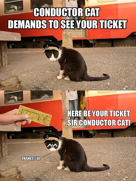conductor-cat1.jpg