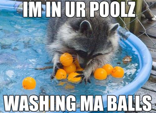 in-ur-poolz-washing-my-balls.jpg