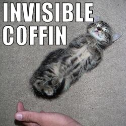 invisible-coffin.jpg