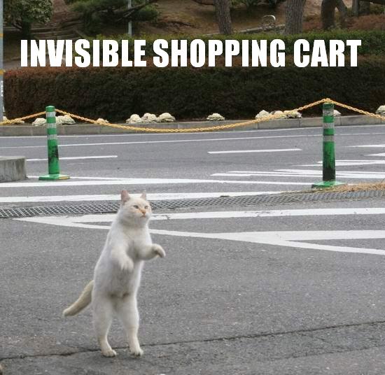 invisible-shopping-cart.jpg
