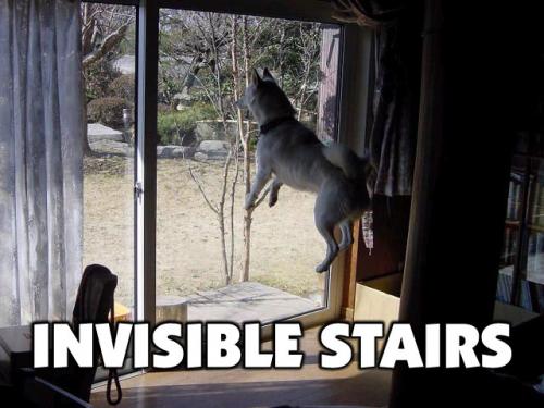 invisible-stairs.jpg