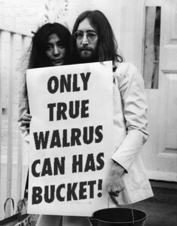 True Walrus