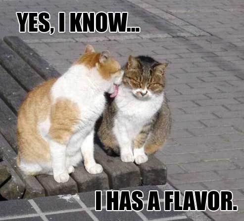 yes-i-know-i-has-flavor.jpg