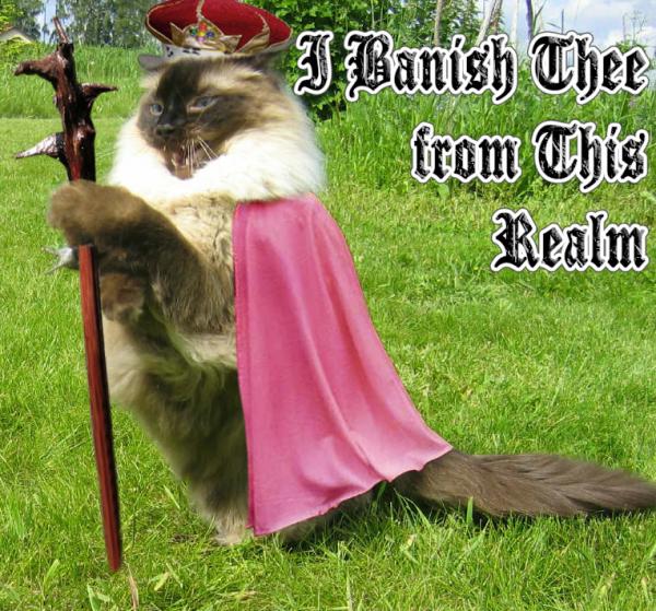 banish-thee-from-this-realm-cat.jpg