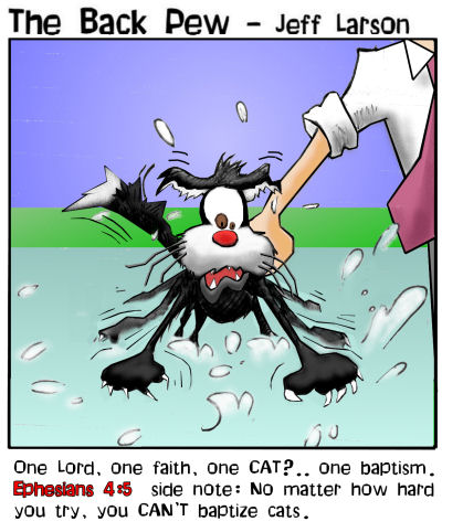 cat_baptism.jpg