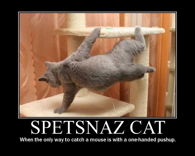 Spetsnaz Cat motavational