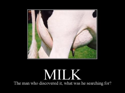 milk