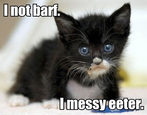 i-not-barf-i-messy-eeter.jpg