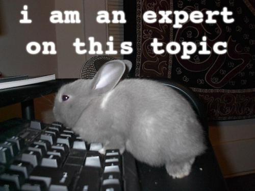 bunny-i-am-an-expert-on-this-topic.jpg