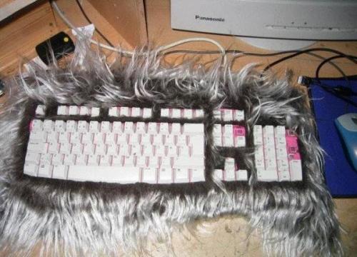 furry-keyboard.jpg