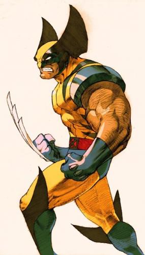 wolverine