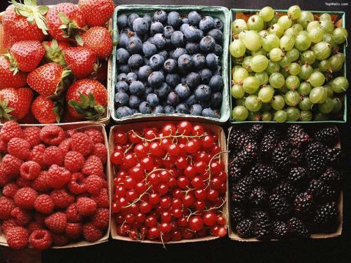 berry-boxes