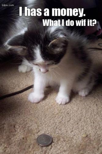 money-cat