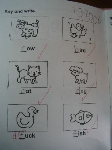 duck-not-fuck