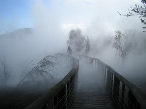 foggy-morning