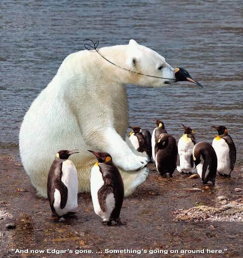 Polar Bear Penguin Disguise MyConfinedSpace