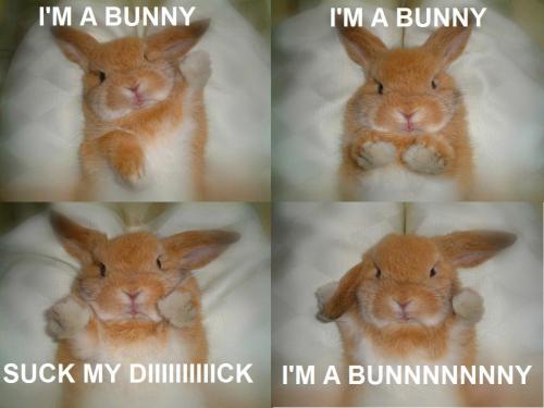 bunny-dick.jpg