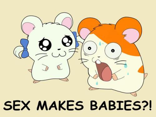 sex-makes-babies