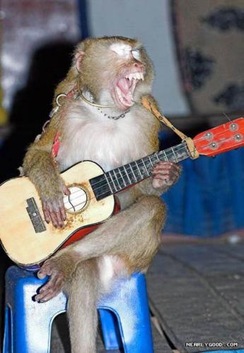 guitar-monkey.jpeg