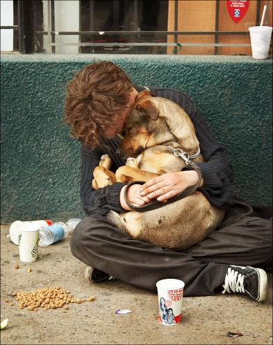 homeless_sleeping_dogbysamjavanrouh.jpg