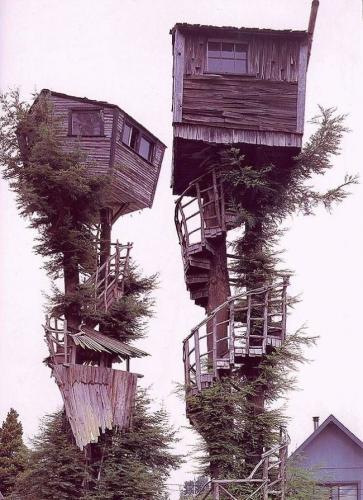 redneck-tree-house.jpg