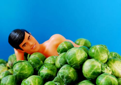sprouts-toy.jpg