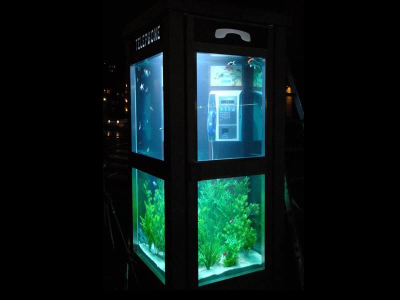 Telephone Booth Fish Tank MyConfinedSpace
