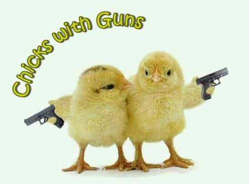 chicks-with-guns.jpg