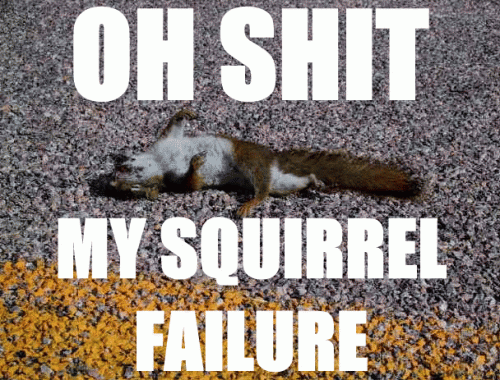 oh-shit-my-squirrel-failure.gif
