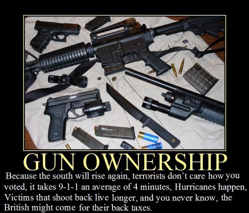 gun ownership