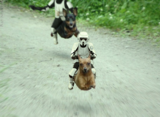 star wars dog troopers