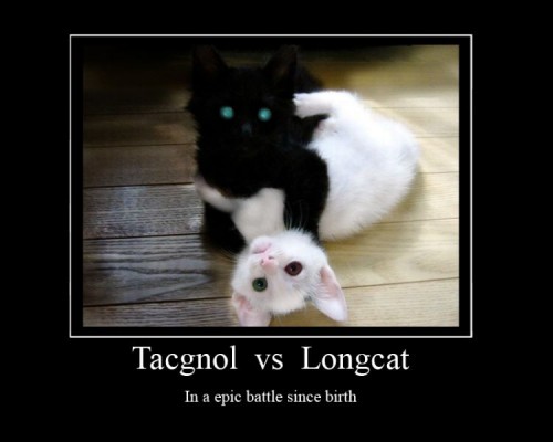 Tacgnol vs Longcat