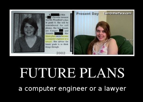 Future plans - computer engineer or a lawyer