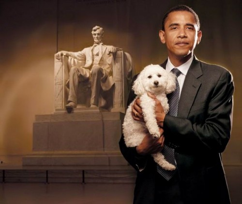 Obama with Dog in front of Lincoln Memorial